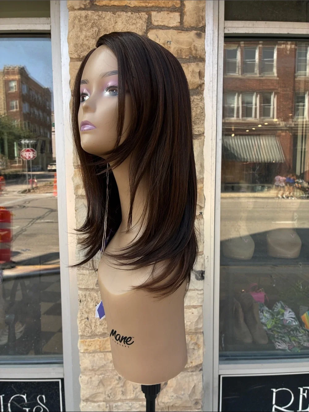 Brown Straight Layered Women's Wig - Sleek Natural Finish